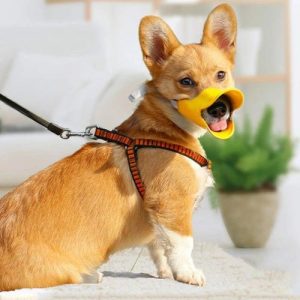 El Bozal de Lucas (para perros)