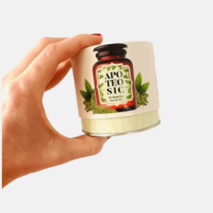TÉ MATCHA APOTEOSIC