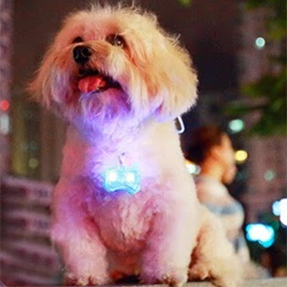 Huesito LED (Colgante de Collar para Perro)