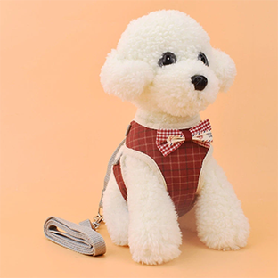 Pechera Chester (Para Gato y Perro) - Imagen 2
