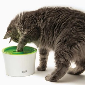 Platón: Comedero para Gatos Tragoncitos.