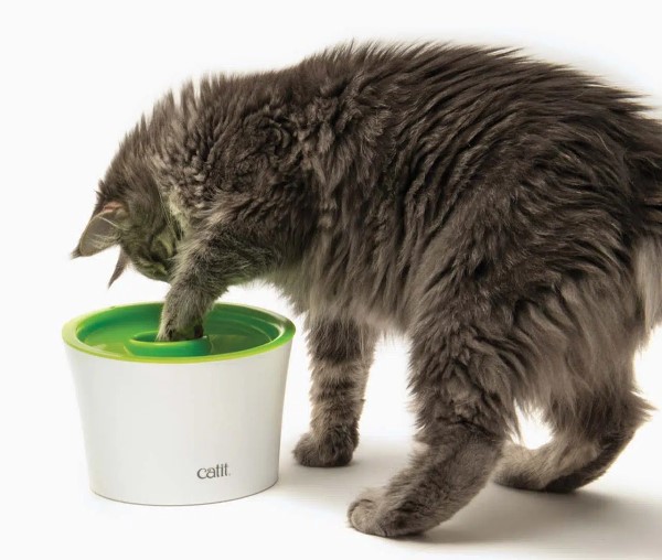 Platón: Comedero para Gatos Tragoncitos.
